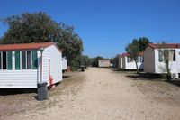 Camping Internationale Castelfusano (14)